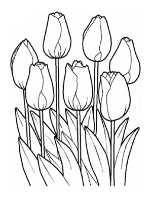 ausmalbilder tulpen
