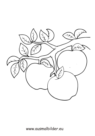 ausmalbilder Äpfel am ast  obst und gemüse malvorlagen