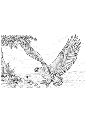 Ausmalbilder Adler und Schlange  Adler Malvorlagen