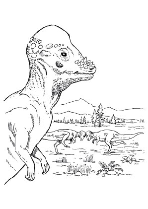 ausmalbilder pachycephalosaurus - dinosaurier malvorlagen