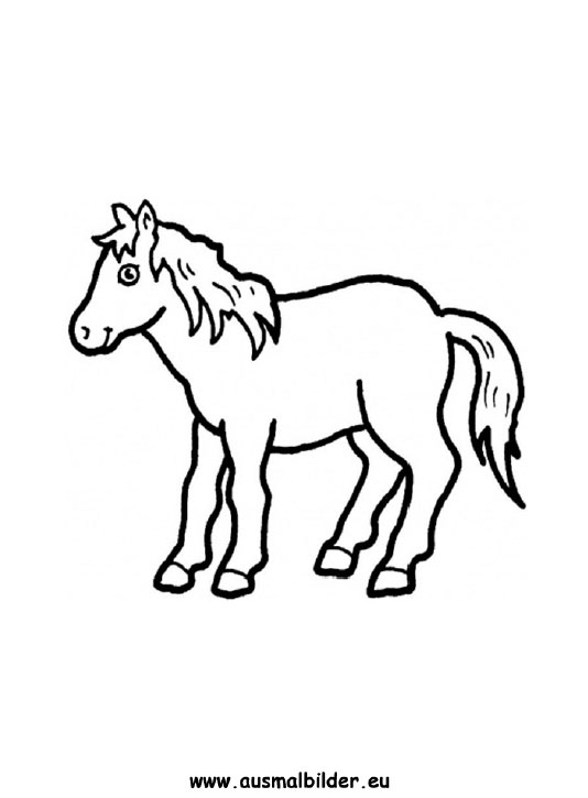 ausmalbilder pony  pferde malvorlagen