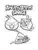 Ausmalbilder Angry Birds Space 2