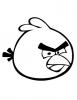 Ausmalbild Angry Birds 8