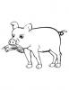 Ausmalbild Fressendes Schwein