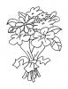 Ausmalbild Blumenstrauß 47