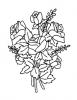 Ausmalbild Blumenstrauß mit Rosen 2