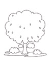 Biologie Deckblatt Baum