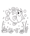 Biologie Deckblatt Fisch