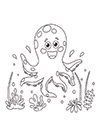 Biologie Deckblatt Tintenfisch