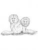Ausmalbild Zwei Löwenäffchen