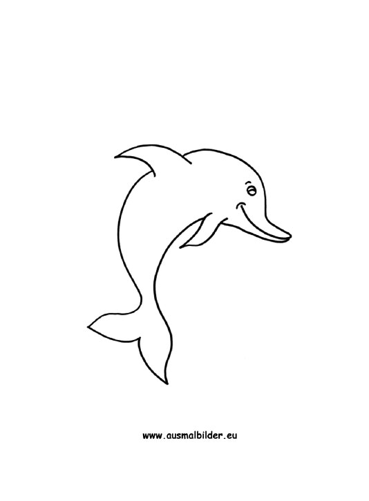 ausmalbild delphin zum ausdrucken