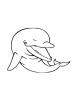 Ausmalbild Junger Delphin