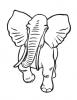 Ausmalbild Alter Afrikanischer Elefant