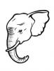 Ausmalbild Elefant mit Stosszahn