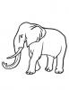 Ausmalbild Elefant mit langem Stosszahn