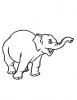 Ausmalbild Trötender Elefant