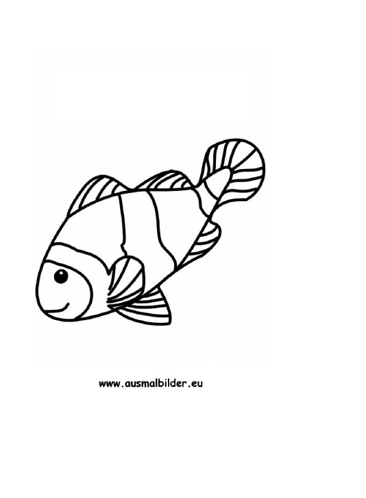 ausmalbilder fische kostenlos ausdrucken  kinder zeichnen