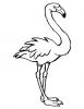 Ausmalbild Stehender Flamingo