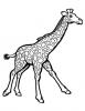 Ausmalbild Giraffe 2