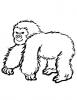 Ausmalbild Gorilla 2