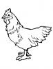 Ausmalbild Huhn 1