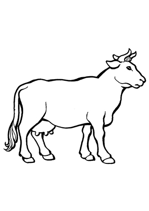 ausmalbilder kuh 4 - kühe malvorlagen