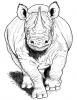 Ausmalbild Nashorn Frontansicht