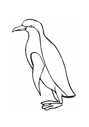 Ausmalbild Kaiserpinguin