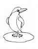 Ausmalbild Junger Pinguin auf Eisscholle