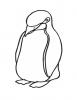 Ausmalbild Junger Pinguin
