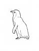 Ausmalbild Kleiner Pinguin